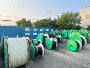 Hình ảnh nhóm sản phẩm Cáp Thăng Long